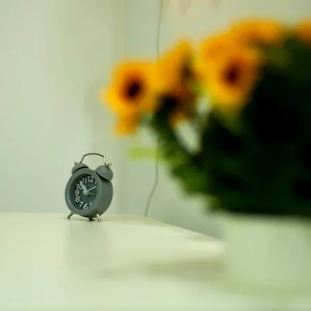 公寓 Sweet And Luxury Center Artflat *
